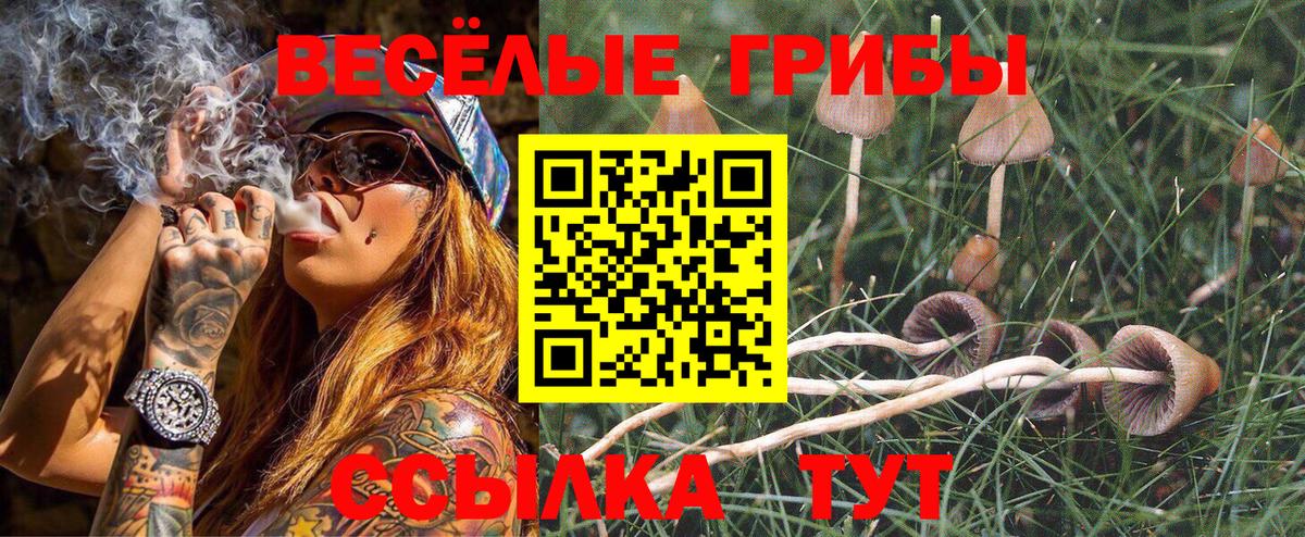 Галлюциногенные грибы мухоморы  Галлюциногенные грибы Psilocybine cubensis  Вход с VPN  Жуковский 